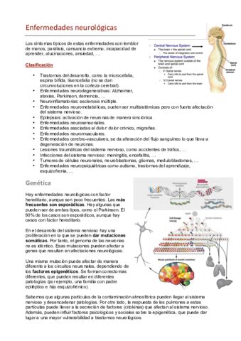 Esquema de las enfermedades neurológicas inmunomediadas graves en pediatría