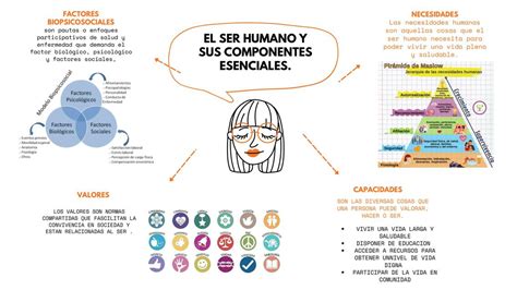 Infografía sobre los componentes esenciales de los fertilizantes