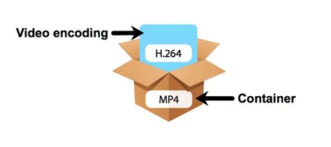 Ilustración explicando la diferencia entre contenedor y codec de video.
