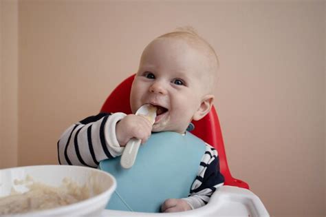 Bebé comiendo una papilla casera con una cuchara de madera, con ingredientes frescos y naturales al fondo.