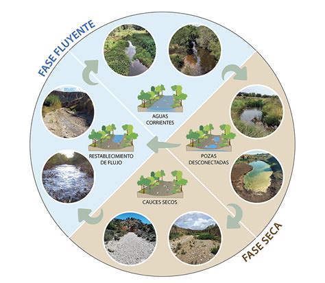 ilustración mostrando la correcta alternancia de capas húmedas y secas en una pila de compost