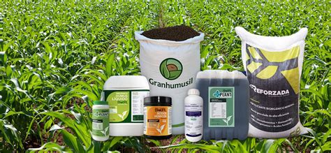 Tipos de fertilizantes: orgánico, mineral, granulado, líquido