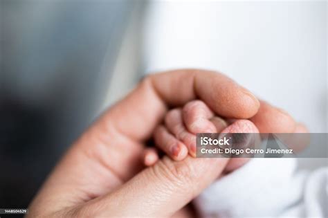 Foto temática de una mano adulta sosteniendo el dedo de un bebé prematuro