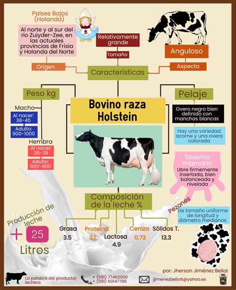 Infografía detallada sobre la composición del calostro bovino y sus componentes clave (inmunoglobulinas, lactoferrina, factores de crecimiento)
