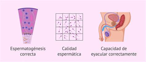 Gráfico de los factores de fertilidad masculina y femenina