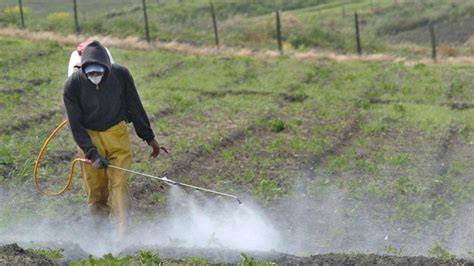 Pulverización de fertilizante foliar en cultivos