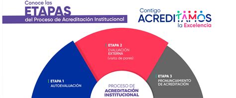 Esquema del nuevo proceso de acreditación y concurso para el profesorado universitario en España