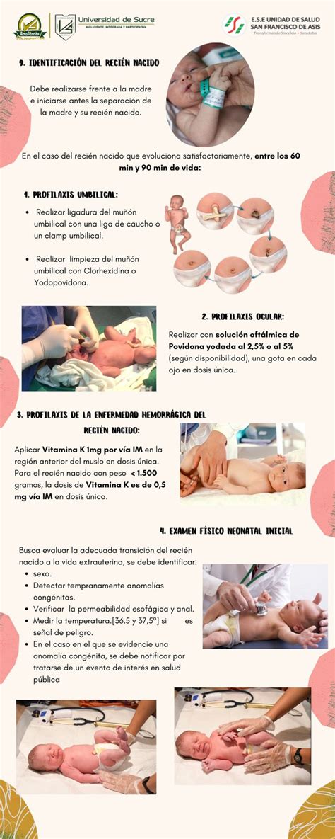 Infografía sobre los pasos de la primera exploración neonatal y cuidados del cordón