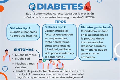 Infografía explicando los dos tipos principales de diabetes y dónde se sitúa la diabetes gestacional.