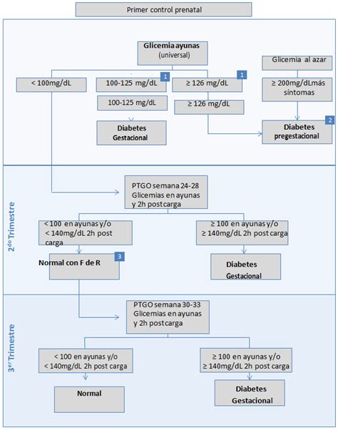 Diagrama del proceso de diagnóstico de la diabetes gestacional, incluyendo el test de O'Sullivan y la curva de glucosa.
