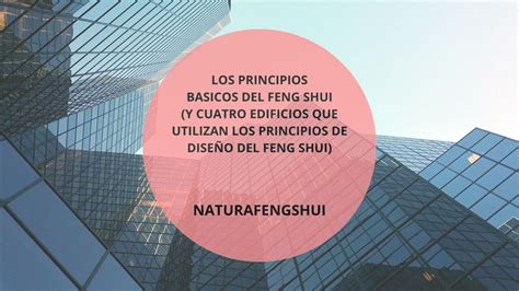 Infografía que representa los principios del Feng Shui aplicados a las plantas de interior, destacando la Zamioculcas zamiifolia.