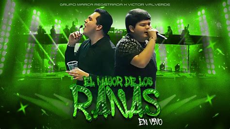 Foto de cerca de los dibujos de ranas en un pañal Chicco Dry Fit