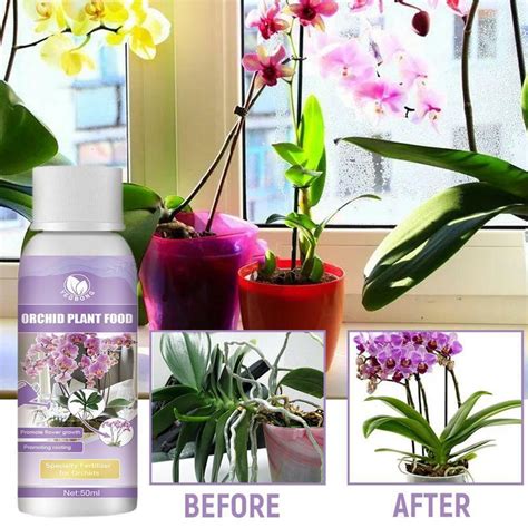 Botella de fertilizante líquido KB para orquídeas
