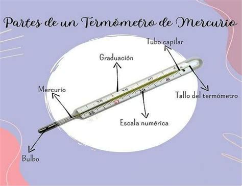 Esquema de las partes del termómetro chupete y cómo se usa