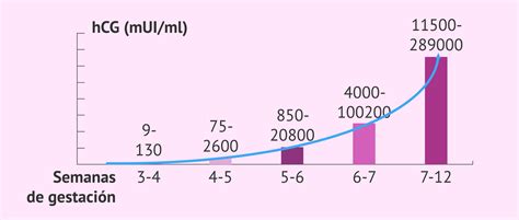 Gráfico que muestra el aumento típico de los niveles de β-hCG durante las primeras 12 semanas de embarazo
