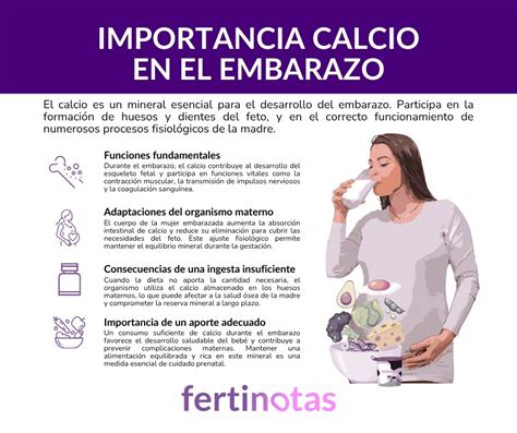 infografía sobre la importancia del calcio en el embarazo, mostrando el desarrollo óseo del feto y la salud materna