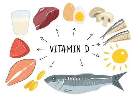 ilustración que muestra la relación entre el sol, alimentos con vitamina D y la absorción de calcio