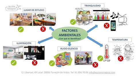 Esquema que ilustra cómo los factores ambientales durante la gestación (nutrición, estrés, toxinas) influyen en el desarrollo fetal y el riesgo de enfermedades en la adultez.