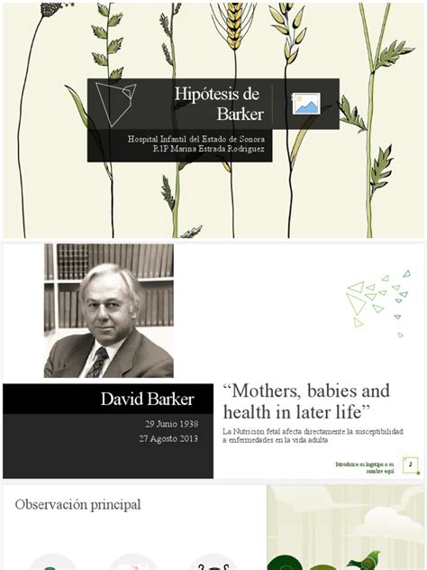 Infografía sobre la Hipótesis de Barker: relación entre nutrición materna, peso al nacer y salud metabólica a largo plazo.