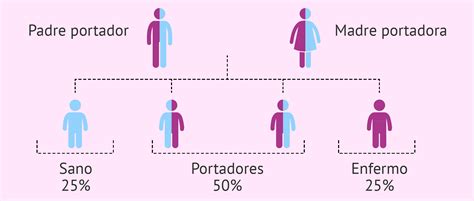 Infografía sobre la herencia autosómica recesiva: probabilidad del 25% de descendencia afectada si ambos padres son portadores.