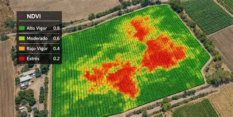 Mapa de índice NDVI mostrando variaciones en la biomasa vegetal
