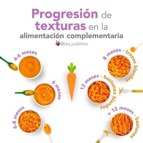 Infografía que muestra la progresión de texturas desde purés suaves hasta trozos pequeños y alimentos sólidos