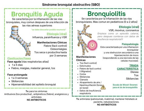 Infografía comparando bronquitis y bronquiolitis en niños
