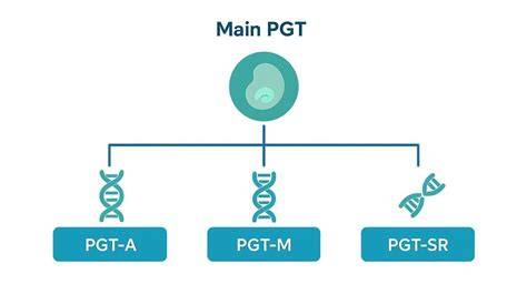 Diagrama de las pruebas genéticas preimplantacionales (PGT)
