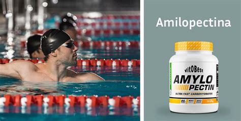 Ciclo de consumo de amilopectina en deportistas: pre, durante y post-entrenamiento