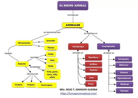 Esquema de las principales vías reproductivas en el reino animal
