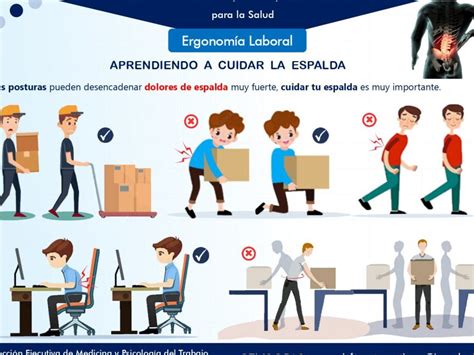 Infografía comparativa mostrando los puntos clave a considerar: peso, tipo de plegado, seguridad y ergonomía del respaldo.