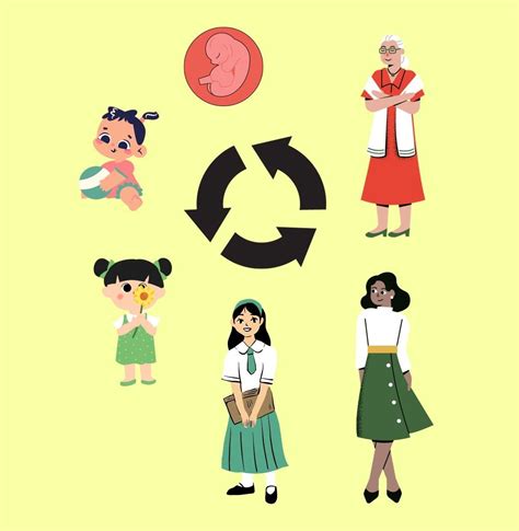 Diagrama del ciclo de vida de la placenta y su expulsión.