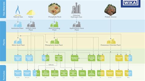Tabla comparativa de diferentes tipos de fertilizantes enraizadores y sus aplicaciones principales
