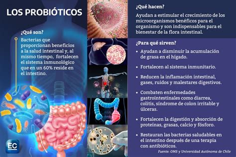 Infografía mostrando el funcionamiento de los probióticos en el intestino del bebé.