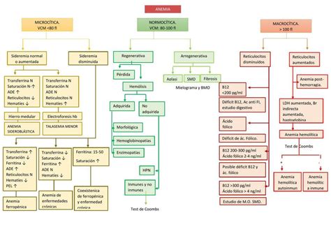 Diagrama de flujo para el diagnóstico diferencial de la anemia en pediatría.