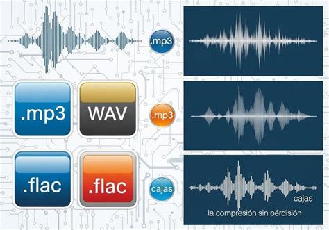 Infografía de los diferentes formatos de video y audio