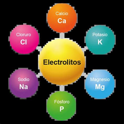 Infografía mostrando los electrolitos principales y sus roles