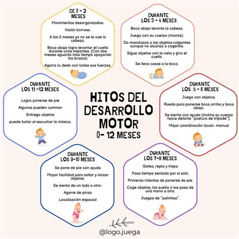 Infografía mostrando la secuencia de hitos del desarrollo motor en bebés (sostener cabeza, girar, sentarse, gatear, caminar)
