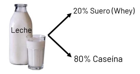 Comparativa visual de la composición proteica (suero vs. caseína) entre leche materna y leche de vaca.