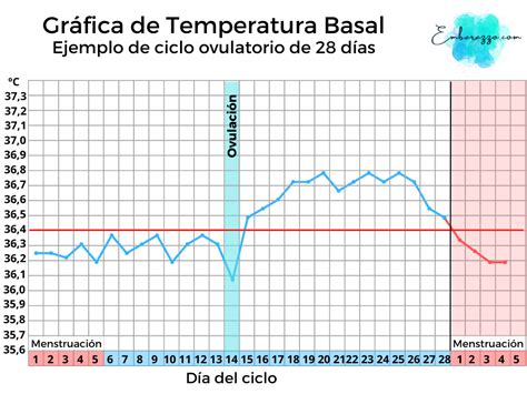 Ejemplo de gráfica de temperatura basal con dos fases claras.