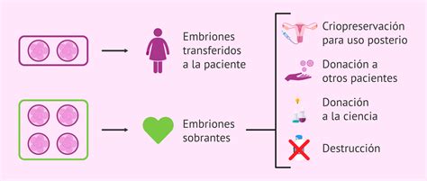 Infografía sobre los destinos de los embriones sobrantes