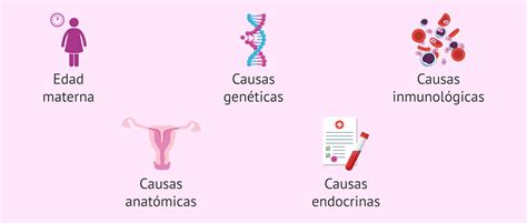 Infografía comparativa: causas genéticas, inmunológicas, anatómicas y hormonales del aborto recurrente.