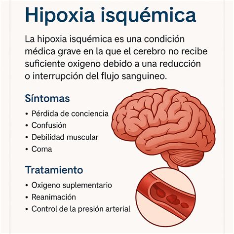 Infografía o esquema sobre las diferentes causas de la hipoxia neonatal
