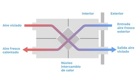 Diagrama o infografía detallada del sistema de ventilación interna de los biberones Dr. Brown's