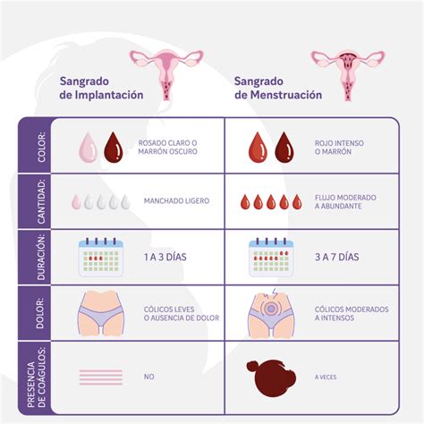 Comparativa visual del sangrado de implantación y el sangrado menstrual.