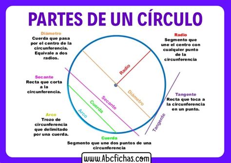 ilustración de los elementos de un círculo y ángulos relacionados