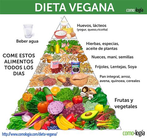 Esquema de tipos de dietas vegetarianas y veganas con ejemplos de alimentos