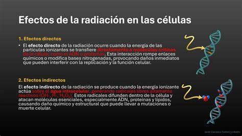 Esquema de interacción de la radiación ionizante con el ADN y las células