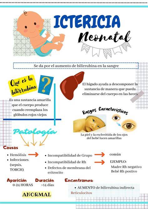 Esquema de las causas más frecuentes de ictericia neonatal