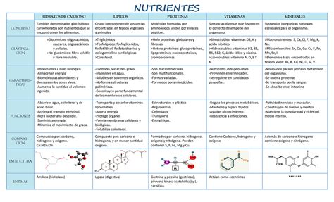 Tabla comparativa de nutrientes esenciales en dietas veganas y omnívoras para niños, destacando fuentes vegetales.
